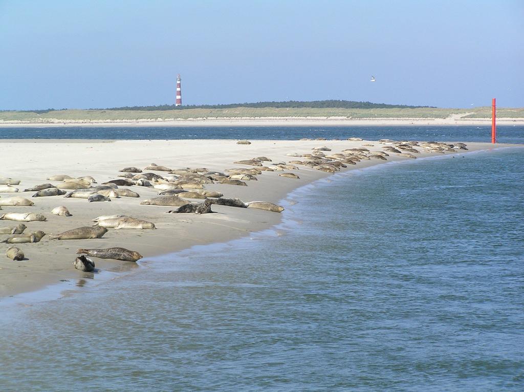 Auberge de jeunesse Sier Aan Zee à Hollum  Extérieur photo